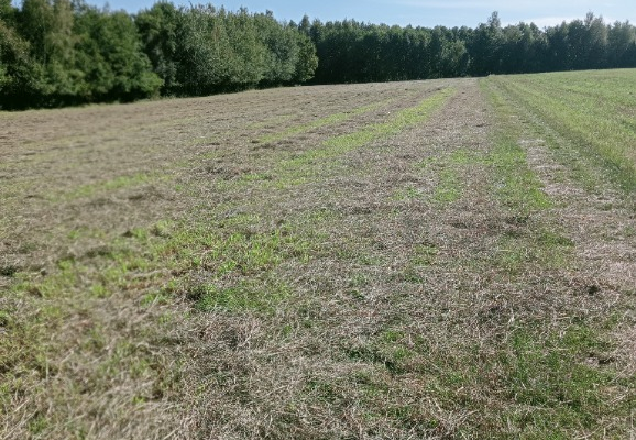 Ogłoszenie - Sprzedam gospodarstwo rolne - Wielkopolskie - 500 000,00 zł