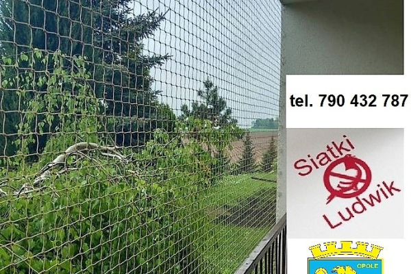 Ogłoszenie - siatka na gołębie dla kota czyszczenie po gołębiach - Opole - 1,00 zł