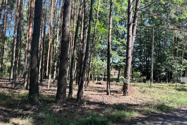 Ogłoszenie - Sprzedam działkę budowlaną w Choroń gmina Poraj - Śląskie - 490 000,00 zł