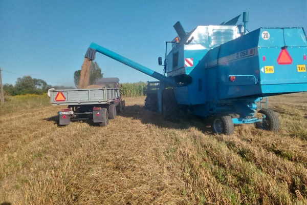 Ogłoszenie - Sprzedam Bizon Rekord ZO58 Siedlce mazowieckie - Siedlce - 74 000,00 zł