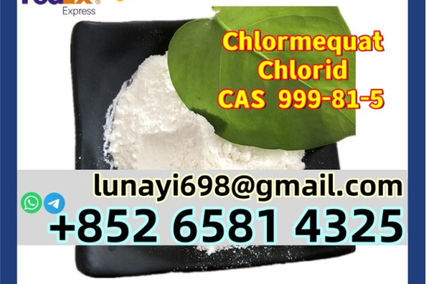 Ogłoszenie - High Purity Chlormequat Chloride Powder CAS 999-81-5 with Safe Delivery - Siemianowice Śląskie - 10,00 zł