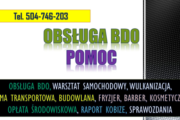 Ogłoszenie - Sprawozdanie BDO dla warsztatu samochodowego i wulkanizacji. Raport za odpady  Usługa, cena. - Dolnośląskie