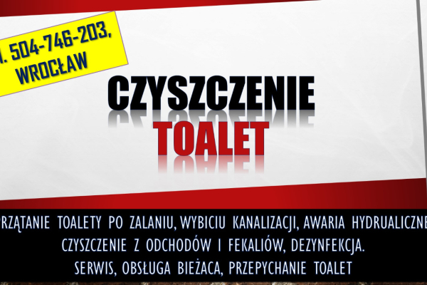 Ogłoszenie - Sprzątanie zabrudzonych toalet, tel. 504-746-203. Wrocław. Zalaniu fekaliami. Po zabrudzeniu, przez fekalia i odchody.