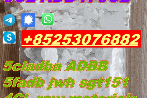 Ogłoszenie - High quality 4fadba 4cladb 5cladba 5f-mdma 5cl-adbb 2cladb 2f-dck apvp appp - Grudziądz