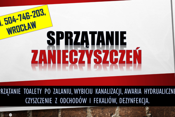 Ogłoszenie - Sprzątanie zabrudzonych toalet, tel. 504-746-203. Wrocław. Zalaniu fekaliami. Po zabrudzeniu, przez fekalia i odchody.