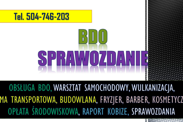 Ogłoszenie - Sprawozdanie BDO dla warsztatu samochodowego i wulkanizacji. Raport za odpady  Usługa, cena. - Dolnośląskie