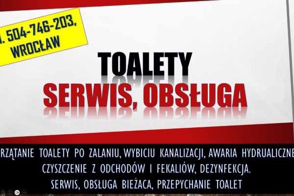 Ogłoszenie - Sprzątanie zabrudzonych toalet, tel. 504-746-203. Wrocław. Zalaniu fekaliami. Po zabrudzeniu, przez fekalia i odchody.