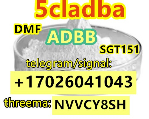 Ogłoszenie - Special sale 5CL-ADB Powder 5cl Adb 5CL 5cladba 5cl CAS : 5449-12-7 bmk