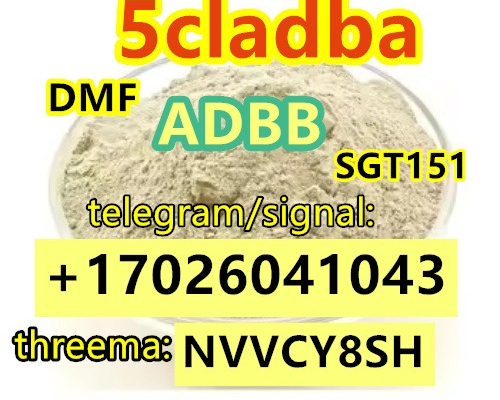 Ogłoszenie - Special sale 5CL-ADB Powder 5cl Adb 5CL 5cladba 5cl CAS : 5449-12-7 bmk