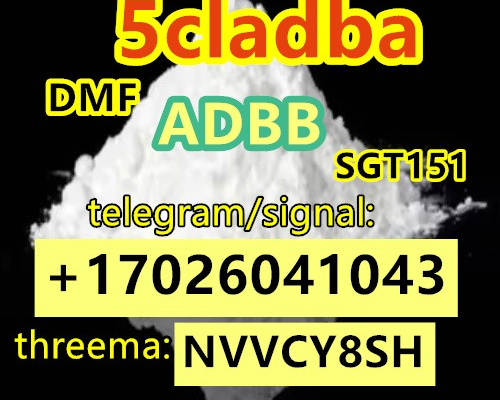 Ogłoszenie - Special sale 5CL-ADB Powder 5cl Adb 5CL 5cladba 5cl CAS : 5449-12-7 bmk