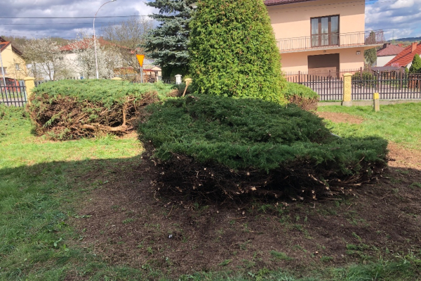 Ogłoszenie - Kompleksowa Pielęgnacja Przestrzeni Zewnętrznej i Ogrodów - Podkarpackie - 60,00 zł