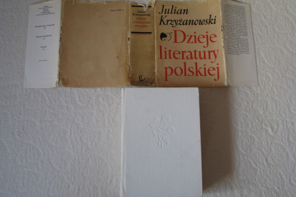 Ogłoszenie - Dzieje Literatury polskiej, Julian Krzyżanowski PWN - Kraków - 22,00 zł