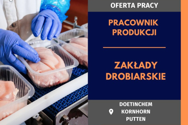 Ogłoszenie - Pracownik produkcji w zakładach drobiarskich - 450 € - 500 € netto/tydzień - Nie wymagamy doświadczenia! - Holandia