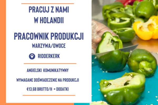 Ogłoszenie - Krojenie / pakowanie warzyw - 14,06 € brutto/h + dodatki zmianowe - Nie wymagamy doświadczenia ! - Holandia