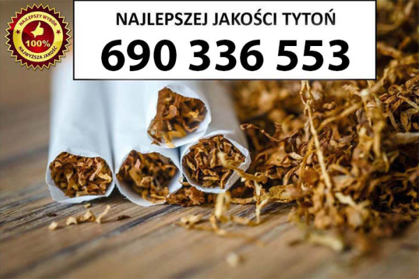 Ogłoszenie - Tytoń na wagę PREMIUM 85 PLN / 1KG - Bielany - 85,00 zł