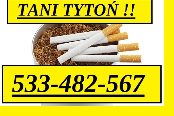 Ogłoszenie - TANI TYTOŃ SKLEP Z TYTONIEM HURTOWNIA TYTONIU - Podkarpackie - 85,00 zł