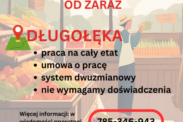 Ogłoszenie - Praca w markecie, Dino Polska S.A., Długołęka - Oleśnica