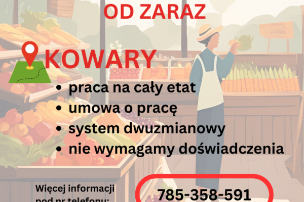 Ogłoszenie - Praca w markecie, Dino Polska S.A., Kowary - Jelenia Góra