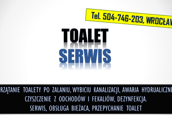 Ogłoszenie - Toalety serwis i dezynfekcja, tel 504-746-203, Wrocław, sprzątanie z fekaliów. - Wrocław