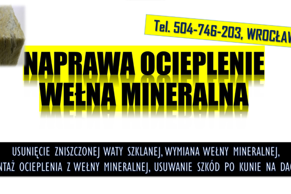 Ogłoszenie - Naprawa szkód po kunie, tel. 504-746-203,  ocieplenia, wełny mineralnej. dachu, podbitki, demontaż waty szklanej - Wrocław