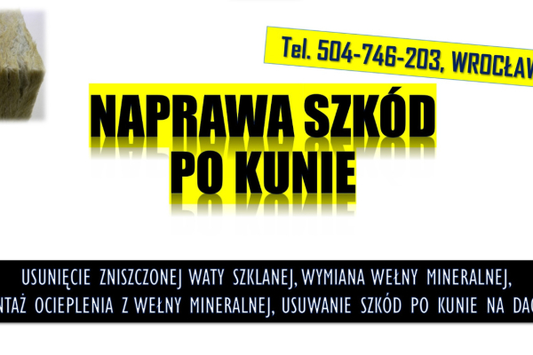 Ogłoszenie - Naprawa szkód po kunie, tel. 504-746-203,  ocieplenia, wełny mineralnej. dachu, podbitki, demontaż waty szklanej - Wrocław