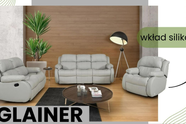Ogłoszenie - REGLAINER - Elegancja, szyk i wysoki komfort - Wejherowo - 9 300,00 zł