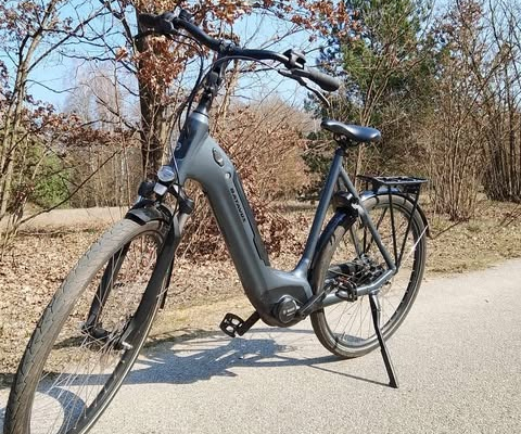 Ogłoszenie - Rower elektryczny Batavus Velder Bosch Active line - Wieluń - 4 900,00 zł