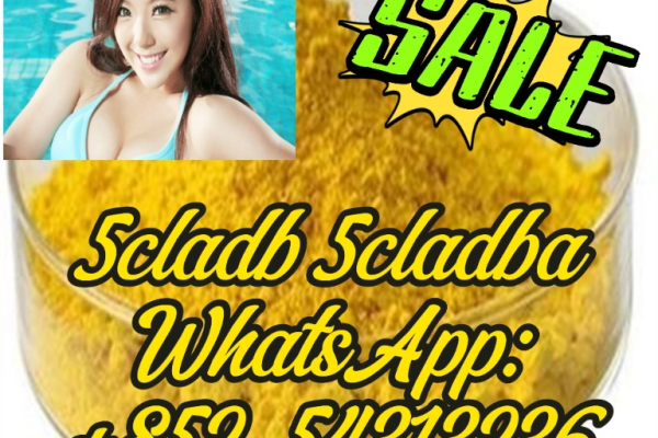 Ogłoszenie - Sample order free 5cladb adbb 5cladba +852 54313236 - 15,00 zł