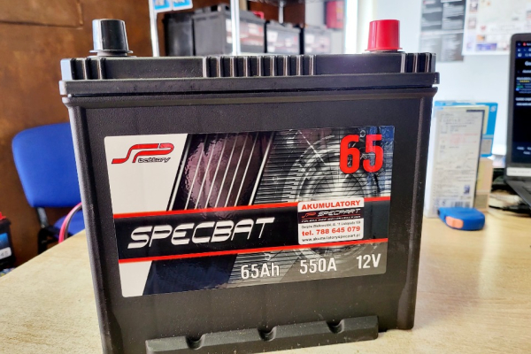 Ogłoszenie - Akumulator 65Ah 550A Specbat EN Japan - Gorzów Wielkopolski - 280,00 zł