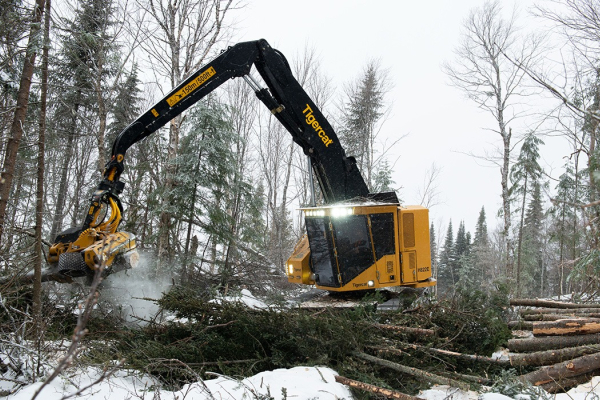Ogłoszenie - MASZYNY LEŚNE HARVESTER GĄSIENICOWY TCI H822E / LH822E - Tarnobrzeg