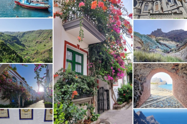 Ogłoszenie - Wycieczki Gran Canaria po polsku z Simon Tours