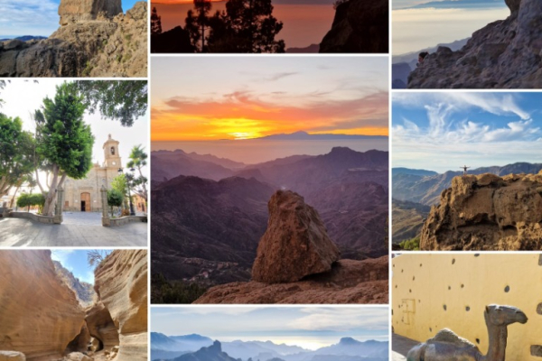 Ogłoszenie - Wycieczki Gran Canaria po polsku z Simon Tours