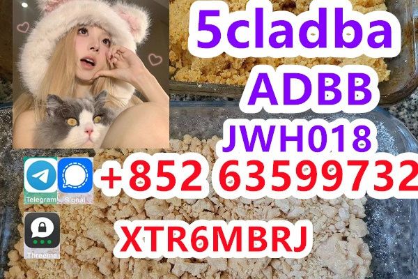 Ogłoszenie - Factory supply 5cladba,5cl-adba,5CL,5cl-adba precursor raw+852 97504341 - Estonia - 32,00 zł