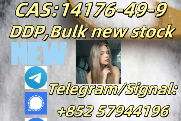 Ogłoszenie - CAS 14176-49-9 Hot selling chemical New - Świnoujście - 20,00 zł