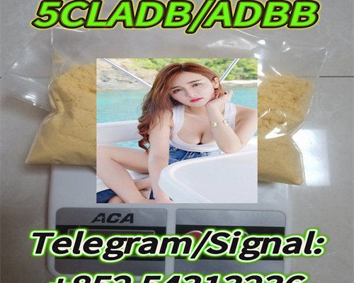 Ogłoszenie - strongest adbb,5CLADBA,5cladb precursor raw material +852 54313236 - Gubin - 15,00 zł