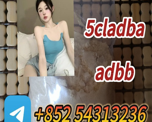 Ogłoszenie - Hot sale 5cladba precursor (semi finished ) 5cladba raw materials ADBB precursor (semi finished ) ADBB +852 54313236 - Olecko - 20,00 zł