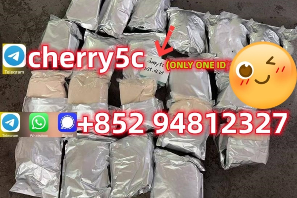 Ogłoszenie - China Supplier 5cladba precursor raw 5cl-adba raw,research chemical - Brodnica - 1 600,00 zł