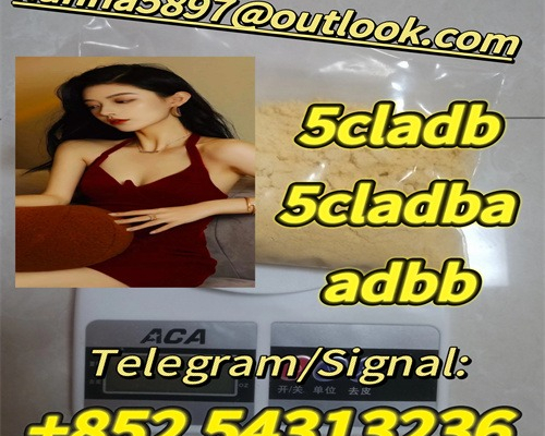 Ogłoszenie - Good quality 5cladb 5CLADBA 5CL-ADB-A 5CL-ADB +852 54313236 - Kraków - 30,00 zł