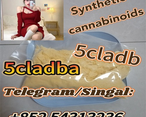 Ogłoszenie - 5cladba 5cladb vendor on sale 5CL-ADB-A China supplier We have many high-quality chemical +852 54313236 - Piła - 30,00 zł