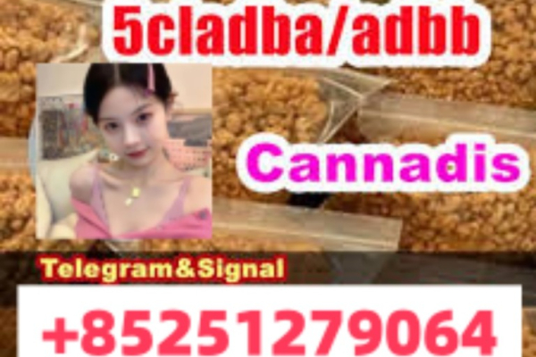 Ogłoszenie - 4F-ADB 4cladbb 2cl-adba 6cl-mdma strong yellow powder - Bytom - 5,00 zł