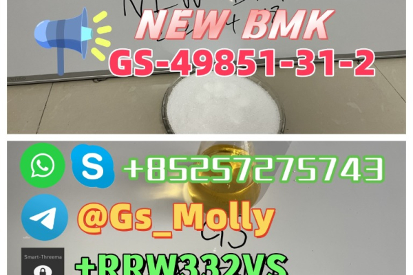 Ogłoszenie - High Quality NEW GS BMK Glycidic Acid (sodium salt) CAS 49851-31-2 - Warmińsko-mazurskie - 340,00 zł