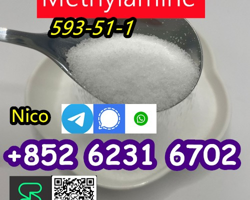 Ogłoszenie - CAS 593-51-1 Methylamine hydrochloride CAS 593-51-1 Метиламин гидрохлорид - Śląskie - 30,00 zł