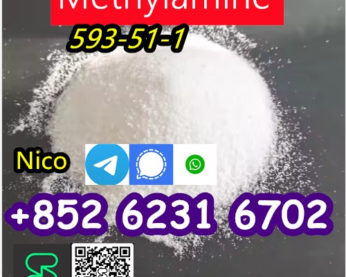Ogłoszenie - CAS 593-51-1 Methylamine hydrochloride CAS 593-51-1 Метиламин гидрохлорид - Śląskie - 30,00 zł