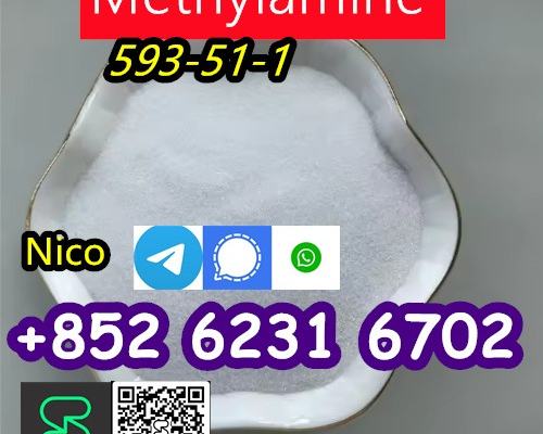 Ogłoszenie - CAS 593-51-1 Methylamine hydrochloride CAS 593-51-1 Метиламин гидрохлорид - Śląskie - 30,00 zł