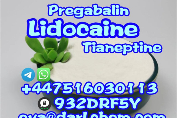 Ogłoszenie - 99% Lidocaine Powder CAS 137-58-6 Factory  Lidocaine powder - Jędrzejów - 10,00 zł