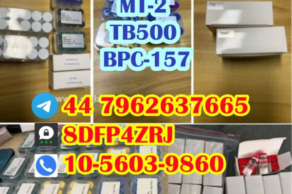 Ogłoszenie - TB500  Top Grade Wholesale Bodybuilding Peptide