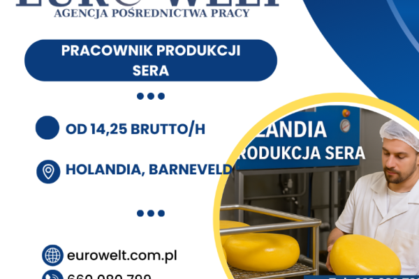 Ogłoszenie - Holandia/ Produkcja sera/ od zaraz - Holandia - 60,00 zł