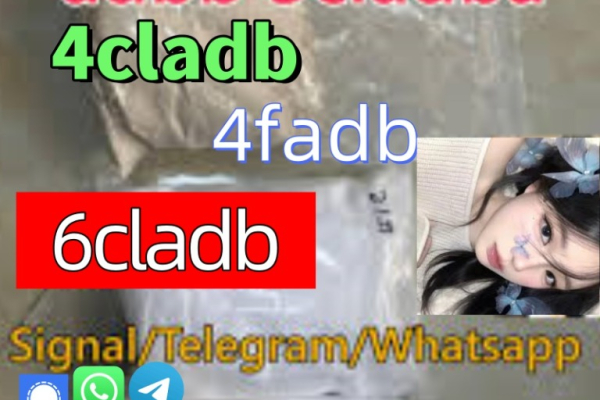 Ogłoszenie - fast shipping 5cladb 6cladb 4fadborange powder 4cladb - 5,00 zł