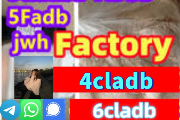 Ogłoszenie - fast shipping 5cladb 6cladb 4fadborange powder 4cladb - 5,00 zł