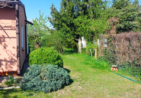 Ogłoszenie - Działka ROD na Rządzu - Grudziądz - 49 000,00 zł